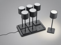 Купить Уличный светильник Trio R54096632