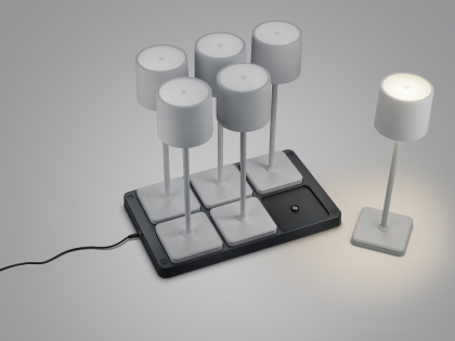 Купить Уличный светильник Trio R54096677