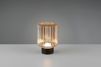 Купити Настільна лампа Trio R57761113