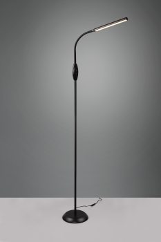 Купить Торшер Trio R47641102