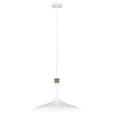 Купити Люстра Feiss FE-DARWIN-P