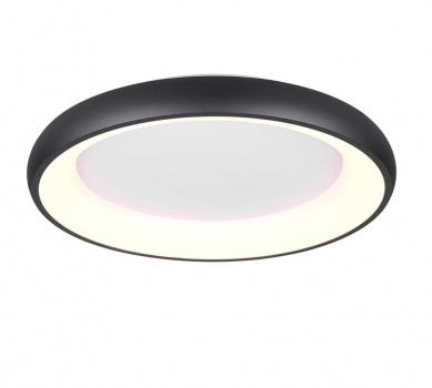 Купити Світильник стельовий Trio 649616032