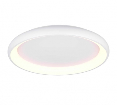 Купить Светильник потолочный Trio 649617531