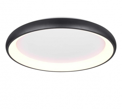 Купить Светильник потолочный Trio 649617532