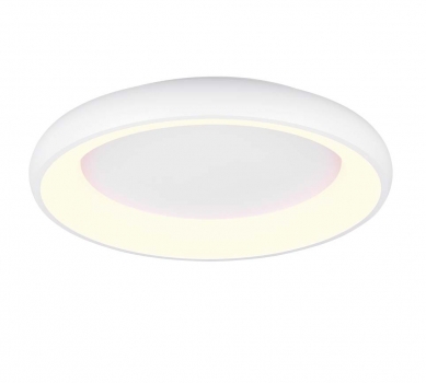 Купить Светильник потолочный Trio 649616031