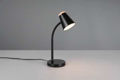 Купить Офисная настольная лампа Reality R55831102