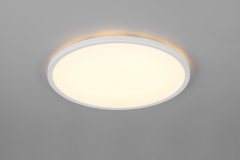 Купить Светильник потолочный REALITY R63011901