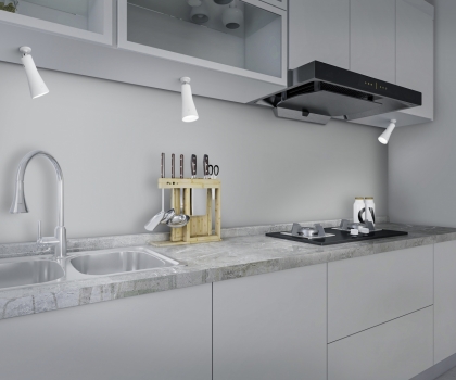 Купить Офисная настольная лампа Trio R52121131