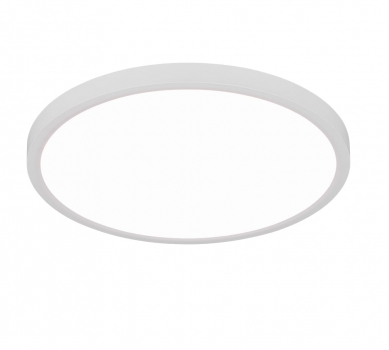 Купить Светильник потолочный REALITY R65891931