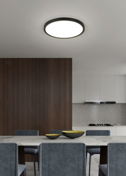 Купить Светильник потолочный REALITY R65891932